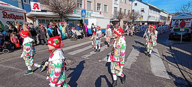 Bild 3: Die besten Fotos vom Fasnetsumzug in Tiengen