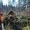 Im Gehau-Wald an der Bundesstraße&nbsp;33 werden die Schäden des Orkantiefs &bdquo;Sabine&ldquo; beseitigt.