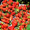 Die Erdbeersaison ist kurz &ndash; deshalb lohnt es sich, die Beeren zu Konfitüre zu verarbeiten.
