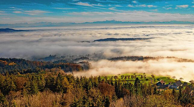 Auch Leserreporter Peter Pflug war an einem der Tage unterwegs, an denen über dem Bodensee eine &bdquo;dicke Nebelsuppe&ldquo; hing, wie ...