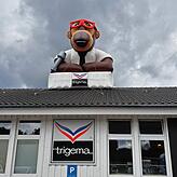 Die Trigema-Filiale in Allensbach.