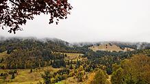 Seit der Gebietsreform 1974 gehört Menzenschwand zu St. Blasien. Hier ein Blick ins Menzenschwander Tal. Bild: Lina Boegel