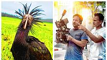 Dr. Saurier (li.) schafft‘s Bodensee und Steffen Hacker dreht mit Hollywood-Stars: Die guten Nachrichten aus unserer Region.