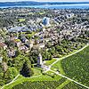 Weinanbau auf dem Raitheberg unterhalb des Bismarckturms in Konstanz.