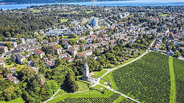 Weinanbau auf dem Raitheberg unterhalb des Bismarckturms in Konstanz.