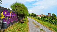Graffiti am Himmelbergweg oberhalb der Altstadt und der Serpentine verärgern nicht nur die Gemeinderäte. Zeitweise waren hier auch ...