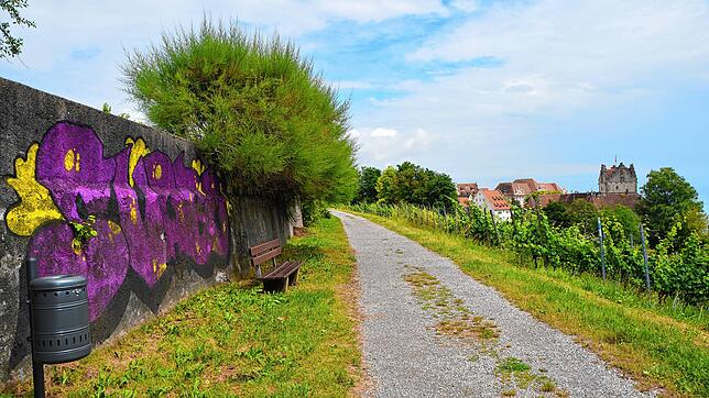 Graffiti am Himmelbergweg oberhalb der Altstadt und der Serpentine verärgern nicht nur die Gemeinderäte. Zeitweise waren hier auch ...