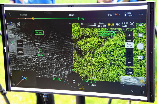 Die Wärmebildkamera der Drohne hat einen Kiebitz im Gras aufgespürt.
