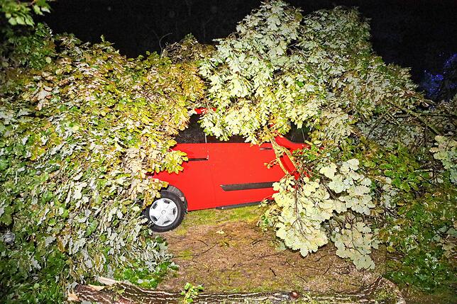 Auch dieser Transporter wurde von Ästen begraben.