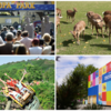 Besonders in der Ferienzeit beliebt: Freizeitparks. Das Land biete Möglichkeiten von Nervenkitzel bis Erholung im Grünen.