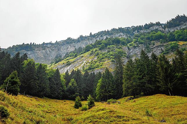 Der Wald lässt manche Wanderer vergessen, dass sie sich über steilen Felswände befinden.