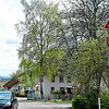 Montags bis Freitags zwischen 7 und 17 Uhr gilt an der Ortseinfahrt von Hubertshofen von Mistelbrunn her Tempo 30. Wenige Meter davor ...
