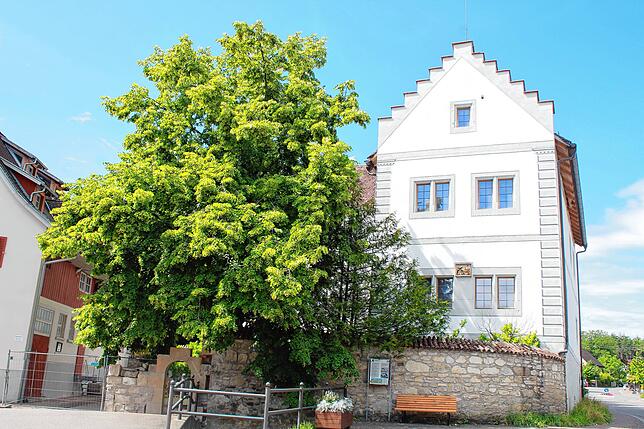 Das Schloss &bdquo;Hegi&ldquo; an der Durchgangsstraße hat eine interessante Geschichte, die auf der Tafel an der Mauer erläutert wird.