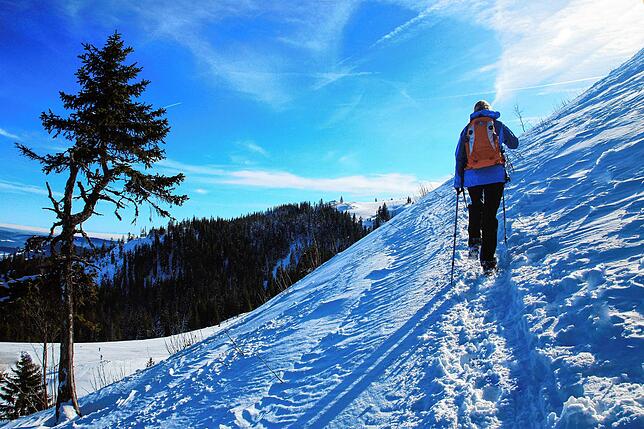Bild 1: Die schönsten Winterwanderungen und Schneeschuhtouren in der Umgebung