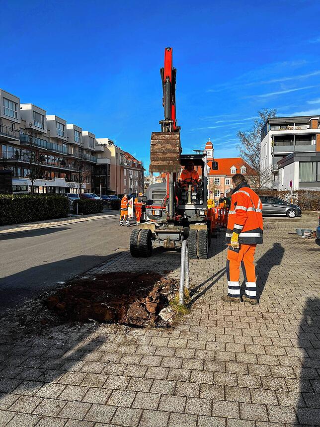 Die Ahornbäume an der Charles-de-Gaulle-Straße in Villingen werden ersetzt. Seit Anfang der Woche arbeiten die Technischen Dienste und ...