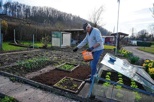 Nikolaus Kruljac richtet ein Beet her und hat schon Salat ins Frühbeet gepflanzt.