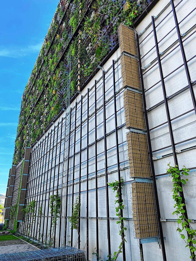 An der Fassade des Parkhauses „hip“ in Heidelberg hat sich die Stadt für eine Begrünung entschieden.