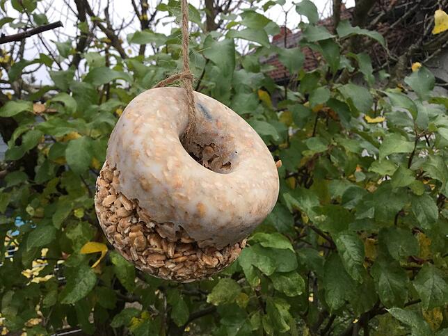 Jetzt fehlen nur noch die Vögel. Innerhalb weniger Minuten ist ein „Meisendonut“ selbstgemacht.