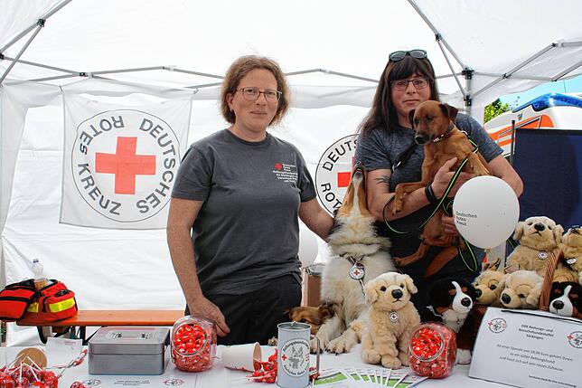 Bild 16: Bilder vom Lebküchlermarkt TodtmoVon