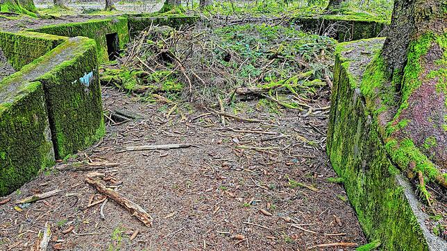 Spuren des Krieges: Eine betonierte Flugabwehrstellung der Flugabwehrzone West auf dem Furtwanger Hausberg Brend. Diese sogenannten ...