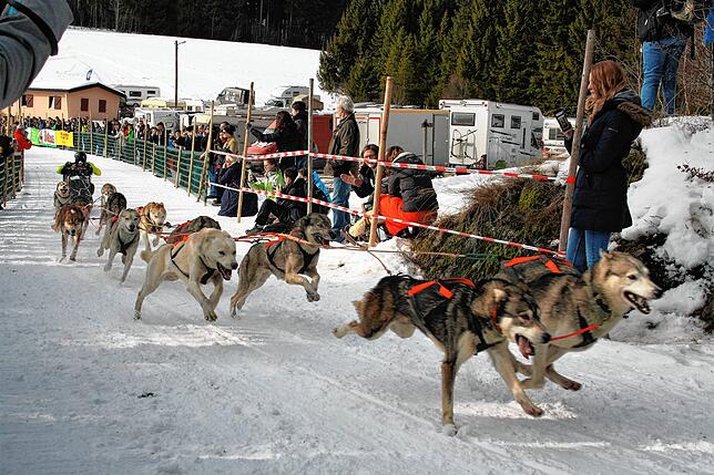 Banges Warten auf den Schnee: so wie auf diesem Bild aus dem Jahr 2017 wird es 2013 leider nicht zugehen.