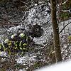 Weißer Transporter in weiß geschneitem Wald: Feuerwehrleute sichern das Fahrzeug, das einen 60 Meter tiefen Steilhang hinuntergestürzt ist.