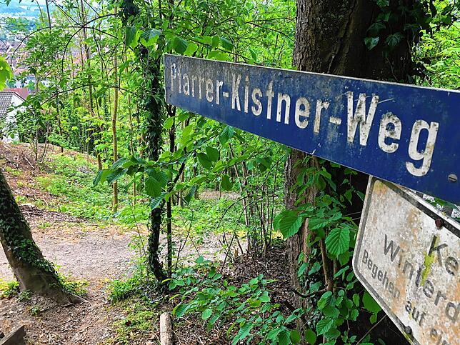 Bild 9: Wandern vor der Haustür (Teil 1): Durch den Bärlauchwald zum Waldshuter Lindenbuck