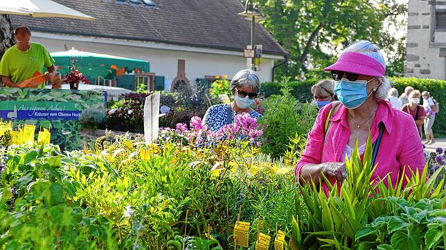 Eröffnung der Gartenmesse Diga: Auf der diesjährigen Gartenmesse auf Schloss Beuggen galten strenge Hygieneregeln: Auf dem Gelände ...