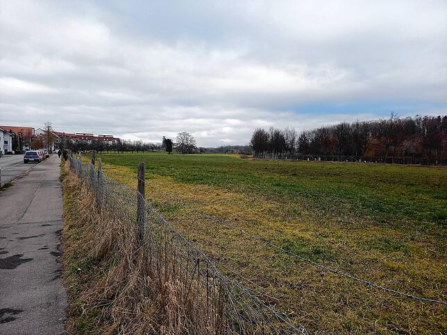 Die Erweiterungsfläche hinter dem Friedhof ist der Favorit der Verwaltung für einen Neubau der Albert-Merglen-Schule. Doch die Fläche ...