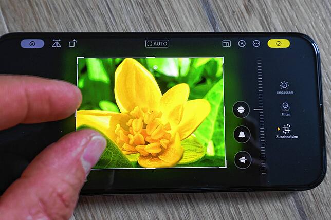 Bilder, die mit dem Handy gemacht werden, sollten lieber nachträglich beschnitten werden, bevor der digitale Zoom genutzt wird.