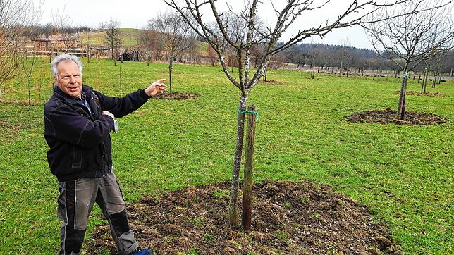 Wilfried Rupp steht auf seiner Streuobstwiese. Er will sich dafür einsetzen, dass im Bodenseekreis die Aktion &bdquo;Gelbes Band&ldquo; ...