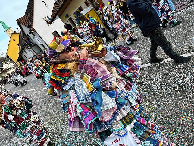 Bild 37: Spaß beim VHN-Narrentreffen: Bilder vom Umzug (1)
