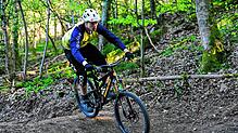 Freie Fahrt: Zwischen Minseln und Nordschwaben könnte ein Mountainbike-Trail eingerichtet werden. Symbolfoto: Thomas Kunz