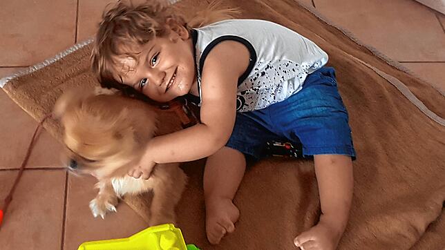 Nick liebt Hunde und sie lieben ihn.