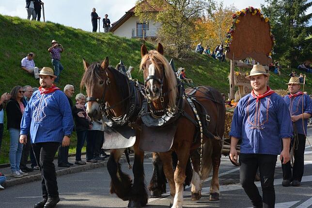 Bild 31: 57. Kreiserntedankfest: Alle Bilder zum großen Festumzug in Weiler