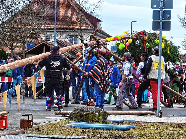 Bild 9: Der Narrenbaum in Kluftern steht