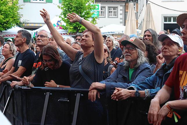 Bild 23: Fury in the Slaughterhouse rocken den Meersburger Schlossplatz
