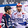 Wild Wings-Kapitän Travis Turnbull (rechts) im Gespräch mit seinem früheren Straubinger Teamkollegen Mike Connolly. Ausgerechnet bei ...