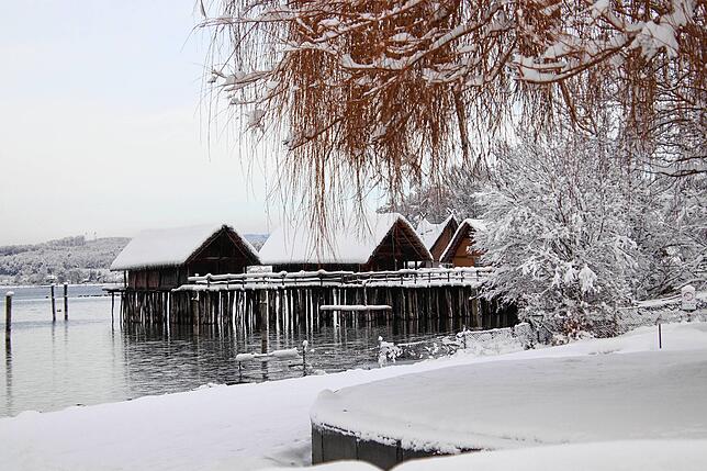 Bild 9: Das kommt so bald nicht wieder: Neue Bilder aus dem Winterwunderland rund um Überlingen und Salem