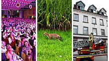 Bild : Von einem Brand in der historischen Innenstadt, von einem Fuchsproblem im Pfaffenweiler und der Frage: Wie kann die Saalfasnet 2022 gefeiert werden? Diese und weitere Themen im Wochenrückblick für Villingen-Schwenningen