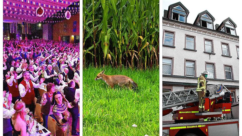 Bild : Von einem Brand in der historischen Innenstadt, von einem Fuchsproblem im Pfaffenweiler und der Frage: Wie kann die Saalfasnet 2022 gefeiert werden? Diese und weitere Themen im Wochenrückblick für Villingen-Schwenningen