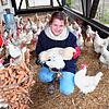 Inga Günther, die das Zweinutzungshuhn züchtet, inmitten der Hühnerschar und dem dazugehörenden Hahn auf dem Hofgut Rengoldshausen bei ...
