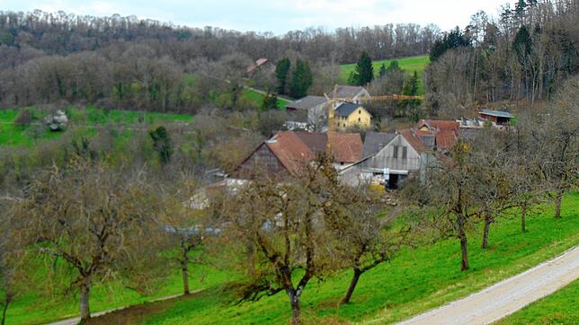 Etwas über zwanzig Leute wohnen noch im Weiler Reutehof, der in idyllischer Lage über dem Klettgau-Tal thront. Seit langer Zeit sind die ...