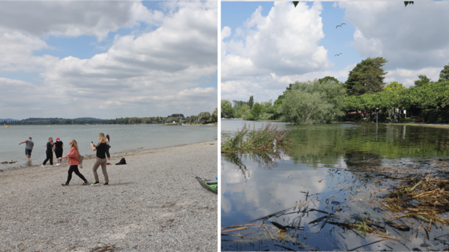 14. Juni 2024: So unterschiedlich sieht der See bei Hochwasser (2024) und Niedrigwasser (2022) aus. Das Hochwasser in Radolfzell ...