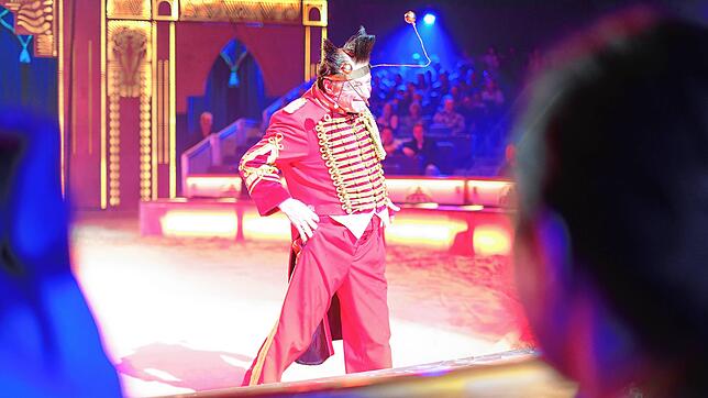 Der Circus Krone gastiert aktuell seit Donnerstag, 28. August, in Konstanz. Der SÜDKURIER hat mit mehreren Mitarbeitern über das Leben ...