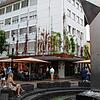 An dieser Fassade in der August-Ruf-Straße beim Hauserbrunnen wachsen die Rankpflanzen schon empor. Ein neues städtisches Förderprogramm ...