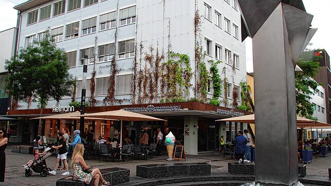 An dieser Fassade in der August-Ruf-Straße beim Hauserbrunnen wachsen die Rankpflanzen schon empor. Ein neues städtisches Förderprogramm ...