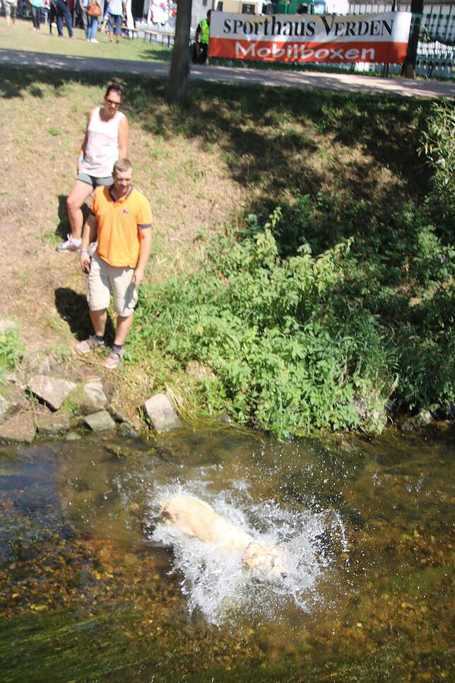 Abühlung in der Brigach: Vielseitigkeitesreiterin Katja Hehn, ihr Mann Robert und Hündin Shila.