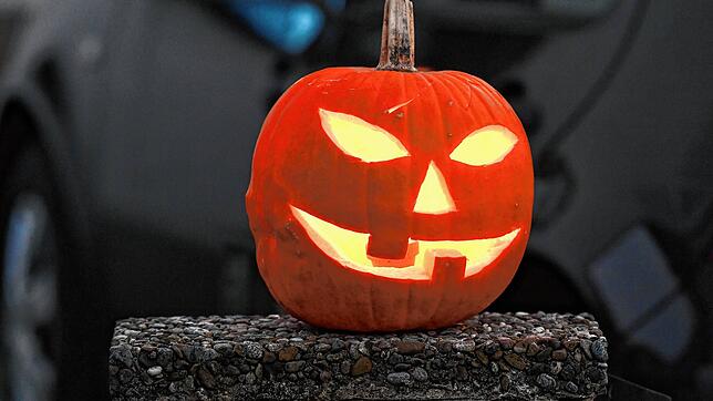 Bild : Halloween-Grusel unter Wasser: Kürbisse leuchten auf dem Grund des Rheins