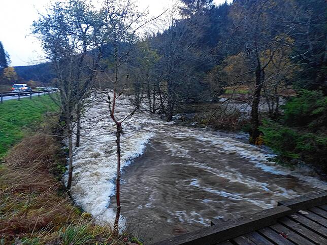 Bild 8: Hochwasser im Schwarzwald: Beeindruckende Bilder vom Dauerregen im Bregtal
